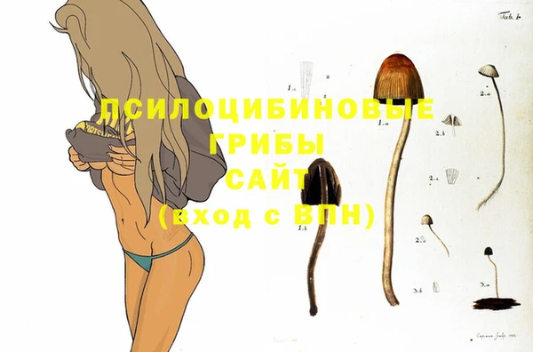 мяу мяу мука Баксан