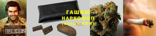мяу мяу мука Баксан