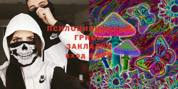 мяу мяу мука Баксан