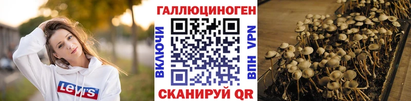 Псилоцибиновые грибы GOLDEN TEACHER  Солигалич 