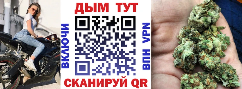 Конопля Bruce Banner Солигалич
