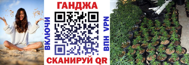 купить наркотик  Солигалич  blacksprut вход  Конопля AK-47 